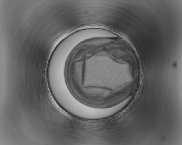 X0000115380805200912011204