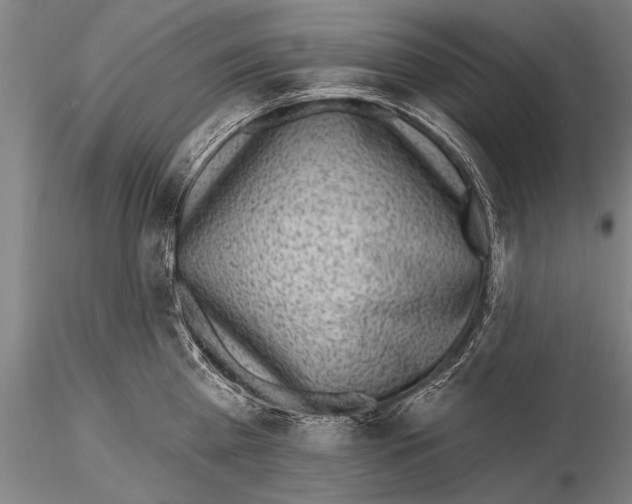 X0000115380809200912011204