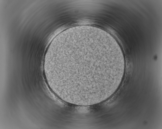 X0000115380810200912011204