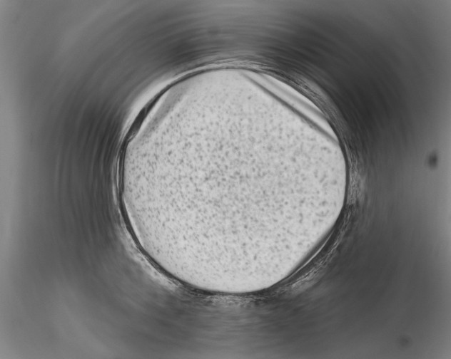 X0000115380812200912011204