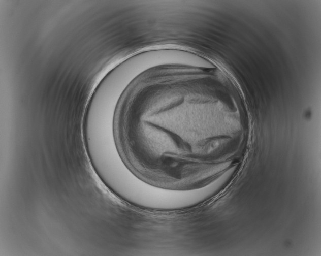 X0000115380813200912011204