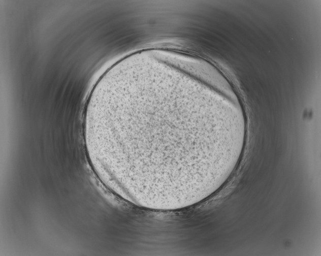 X0000115380816200912011204