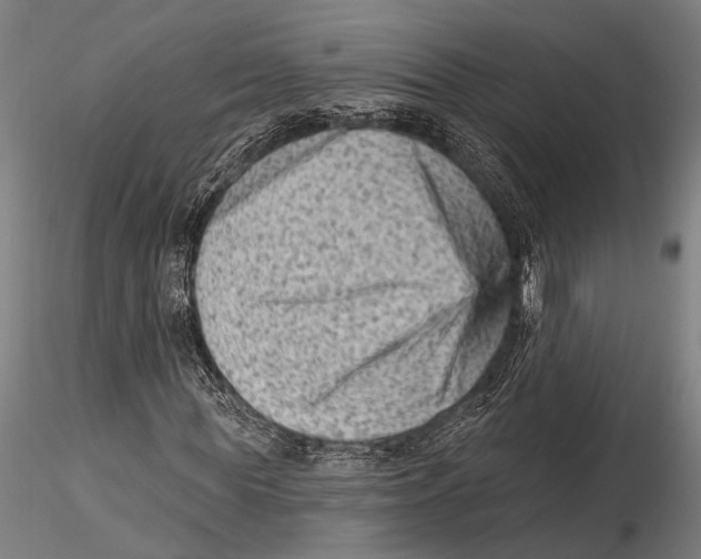 X0000115380819200912011203