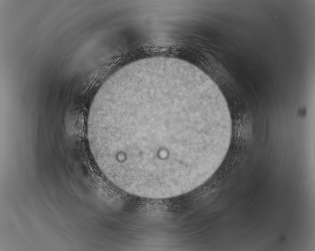 X0000115380820200912011203