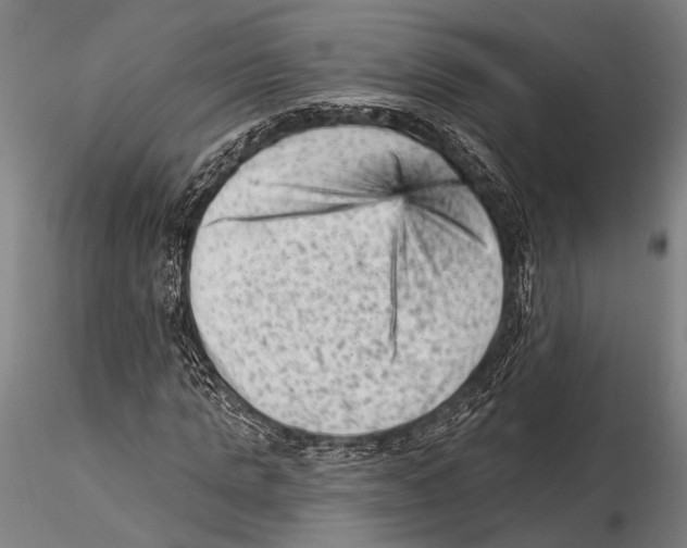 X0000115380821200912011203