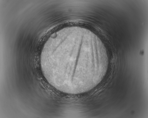 X0000115380822200912011203