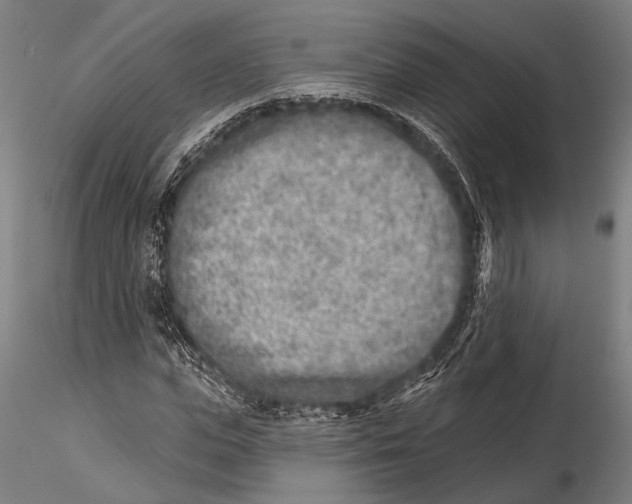 X0000115380823200912011203