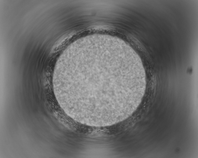 X0000115380824200912011203