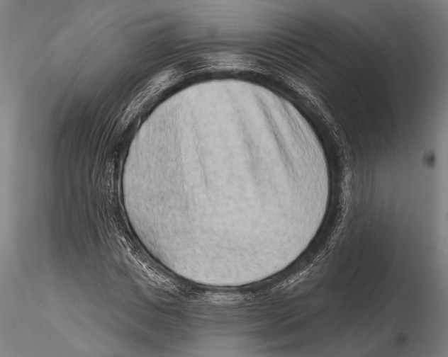 X0000115380825200912011203