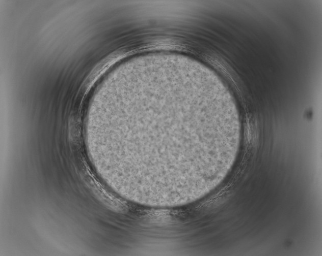 X0000115380828200912011203