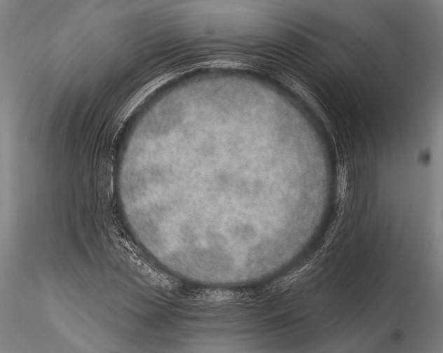 X0000115380829200912011203