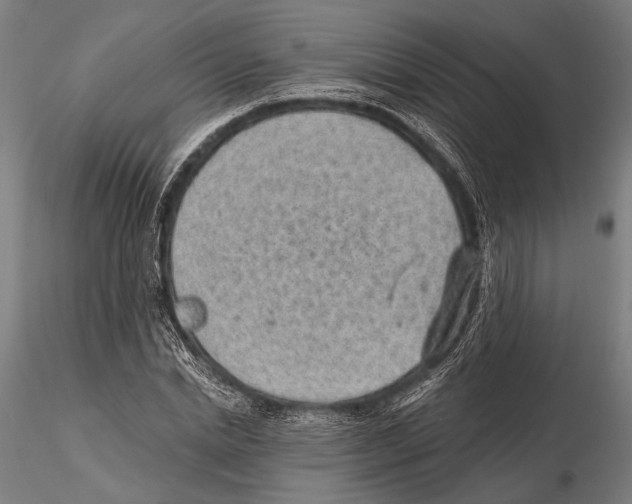 X0000115380830200912011203