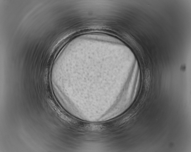 X0000115380831200912011203