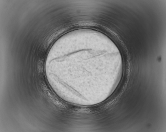 X0000115380833200912011203