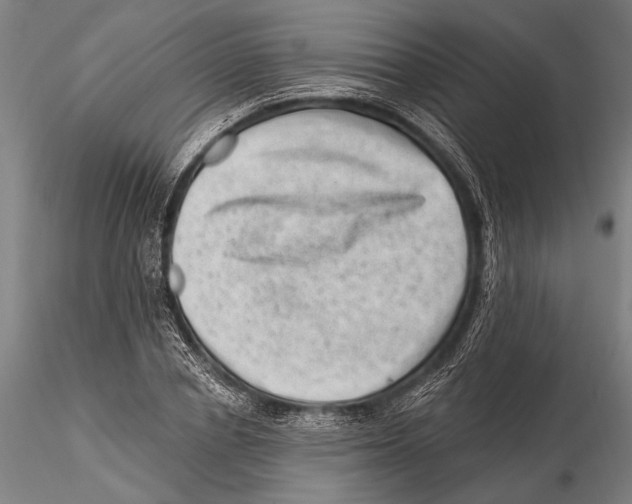 X0000115380834200912011203