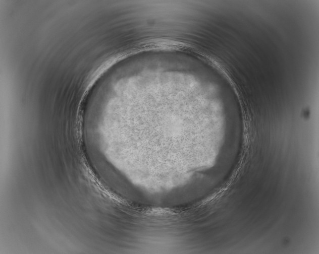 X0000115380835200912011203