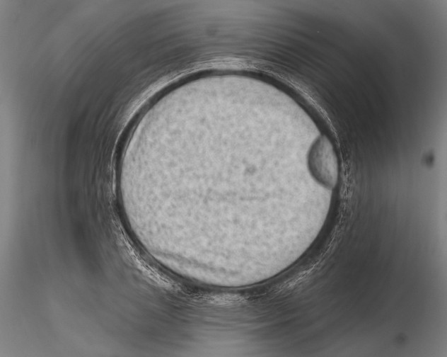 X0000115380837200912011203