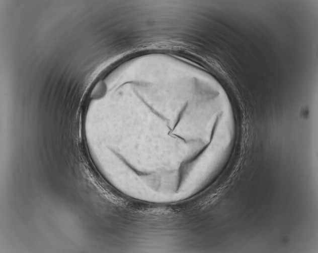 X0000115380838200912011203