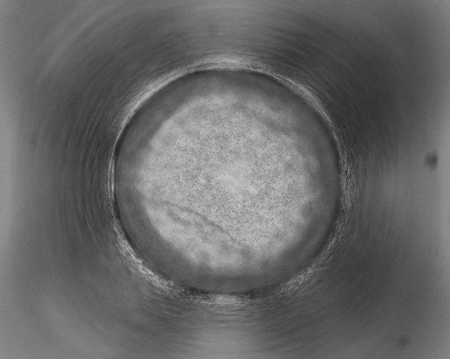 X0000115380839200912011203