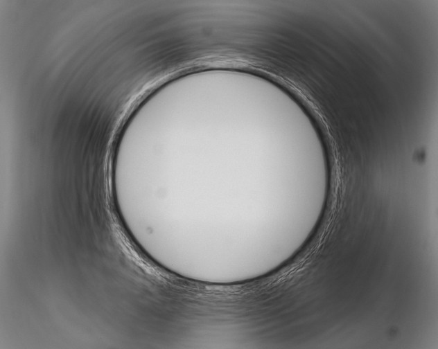 X0000115380840200912011203