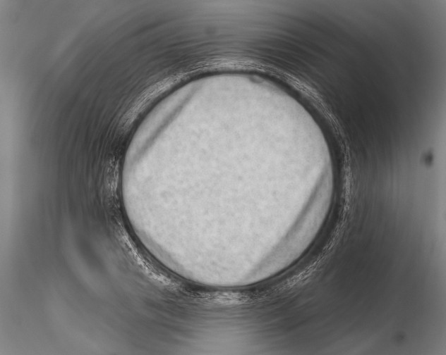 X0000115380841200912011203