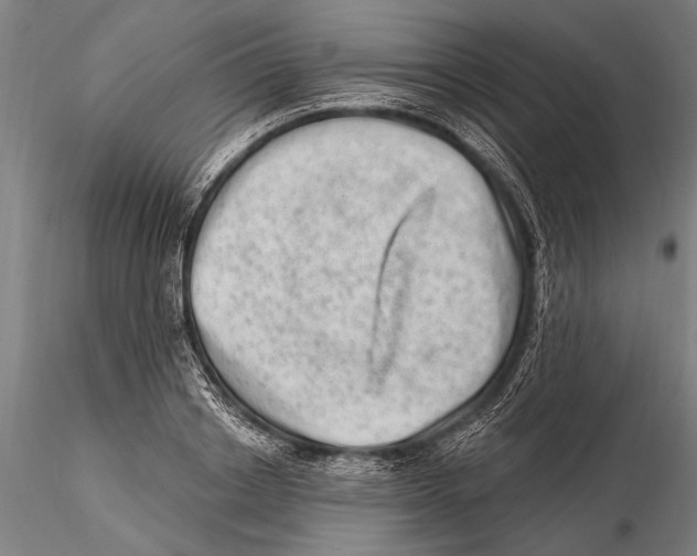 X0000115380842200912011203