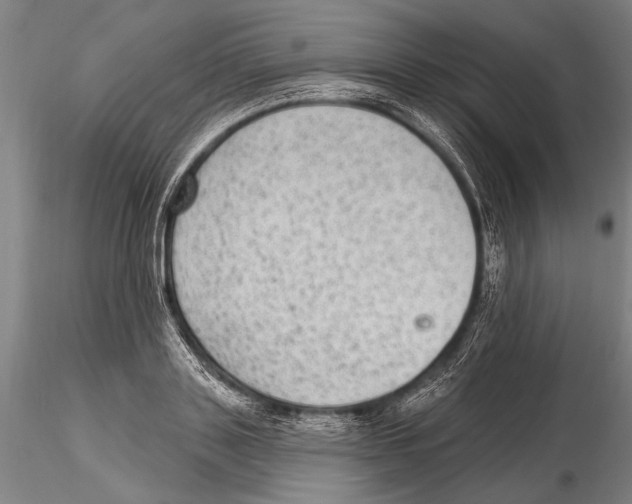 X0000115380843200912011203