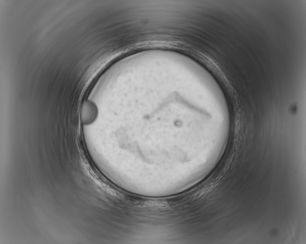 X0000115380844200912011203