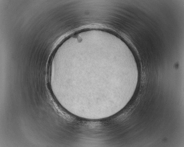 X0000115380845200912011203