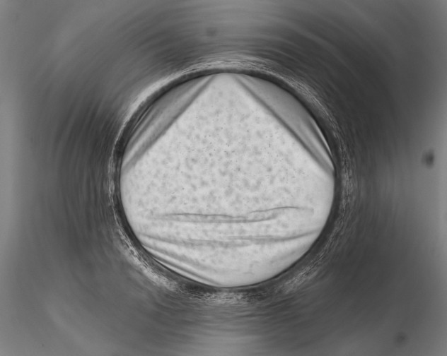 X0000115380846200912011203