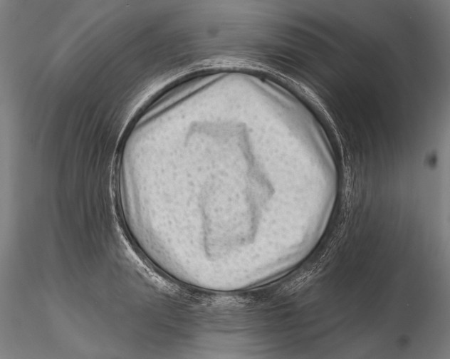 X0000115380847200912011203