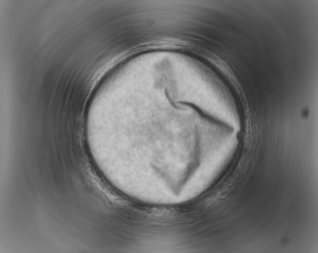 X0000115380850200912011203