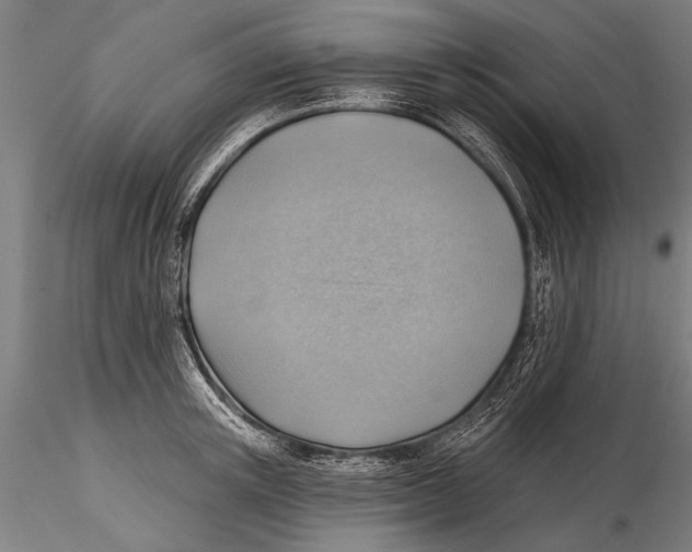 X0000115380851200912011203