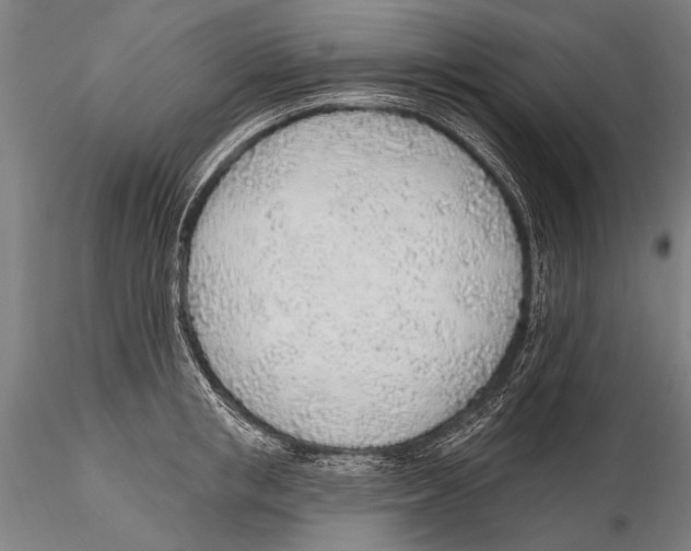 X0000115380853200912011203