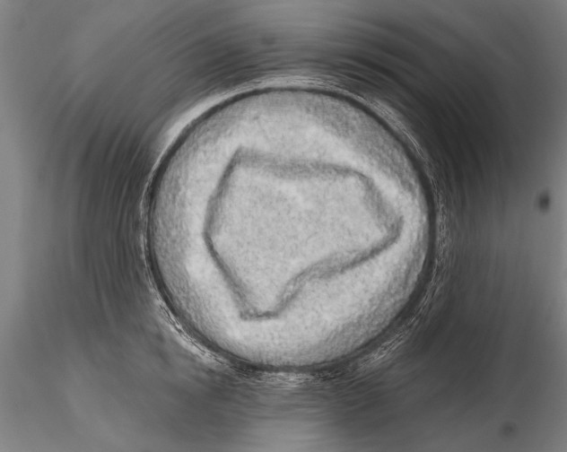 X0000115380854200912011203