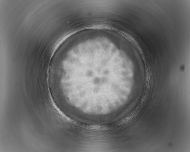 X0000115380855200912011203