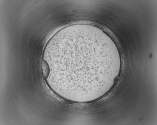 X0000115380860200912011203