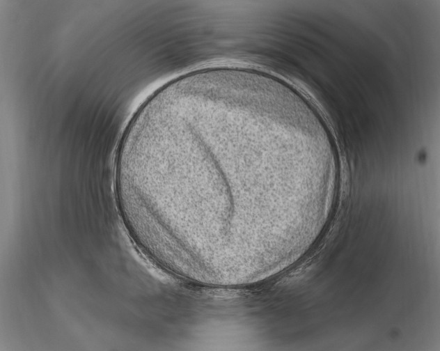 X0000115380862200912011204