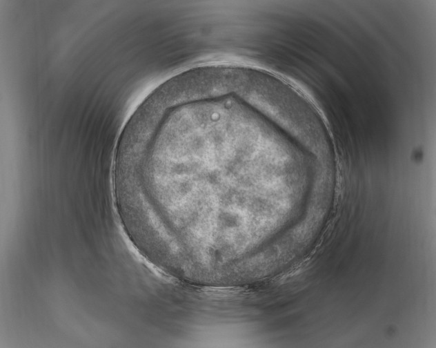 X0000115380863200912011204