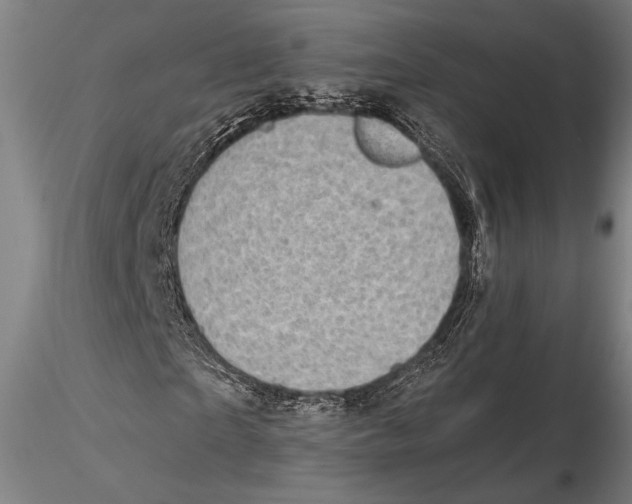 X0000115380865200912011203