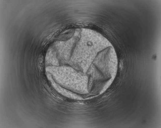 X0000115380867200912011203