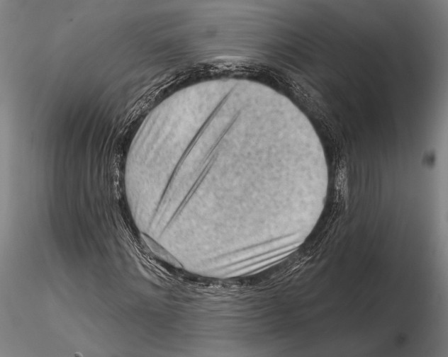 X0000115380868200912011203