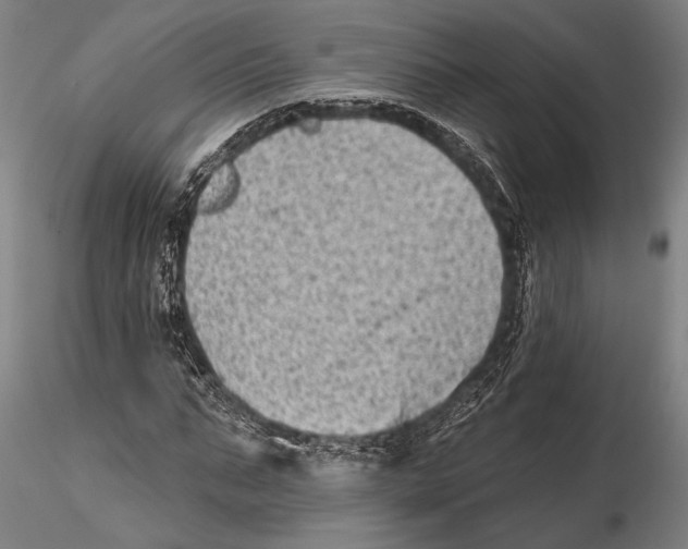 X0000115380871200912011203