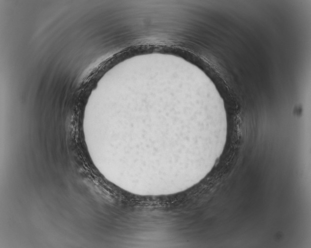 X0000115380872200912011203