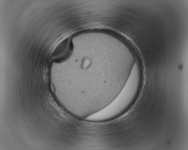 X0000115380873200912011203