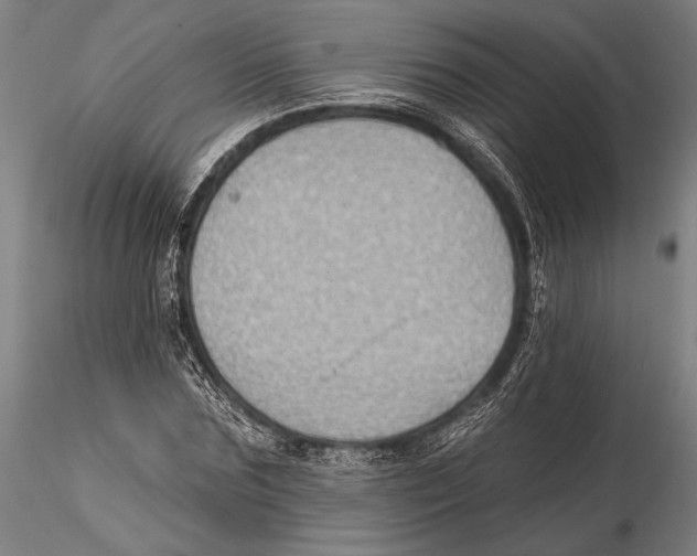 X0000115380875200912011203