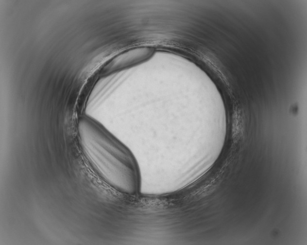 X0000115380876200912011203