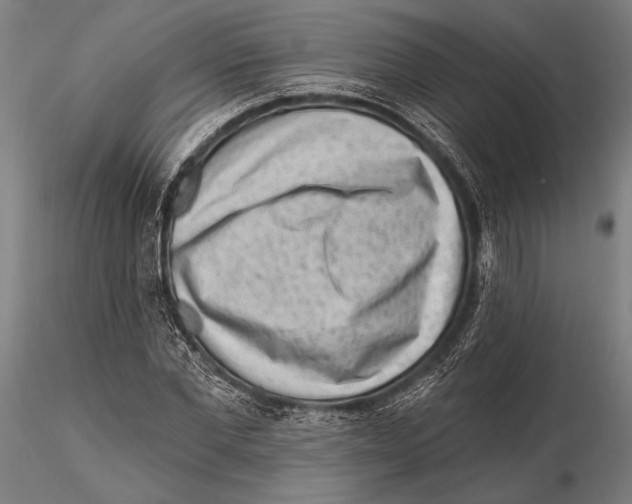 X0000115380877200912011203