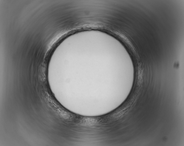 X0000115380878200912011203