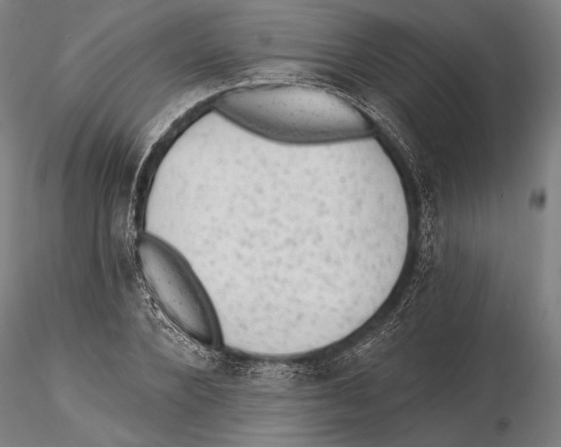 X0000115380880200912011202